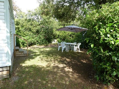 Mobilhome 4 personnes - 28 m² avec Jardin