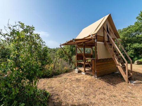 Tente en toile et en bois 1/2 personnes - Tente Bivouac Small sur pilotis Standard - 1 chambre - Pleine nature - Sans sanitaires