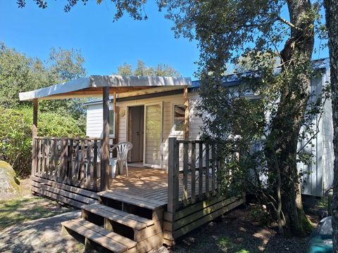 Mobilhome 2/4 personnes - Confort Louisiane 26m² - 2 chambres - Terrasse semi-couverte - TV +clim