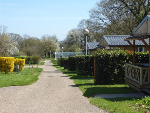 Camping La Croix du Bois Sacker - Camping Moselle - Image N°20