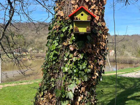Camping La Croix du Bois Sacker - Camping Moselle - Image N°32