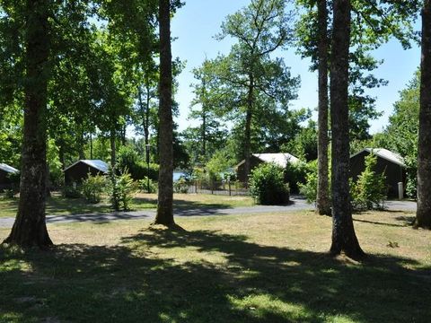 Tente en toile et en bois 5 personnes - LODGE, sans sanitaire