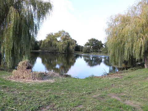 Camping Les Alouettes - Camping Vendée - Image N°58