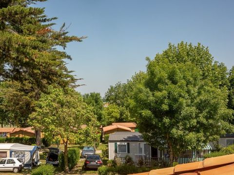 Camping Les Alouettes - Camping Vendée - Image N°29