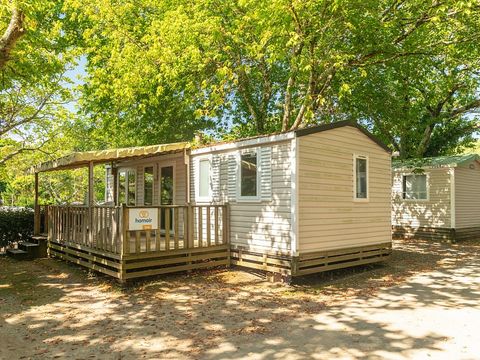 Mobilhome 4 personnes - Mobil-home | Comfort XL | 2 Ch. | 4 Pers. | Terrasse surélevée