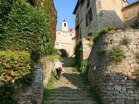 Flower Camping Le Soleil des Bastides - Camping Tarn - Image N°34
