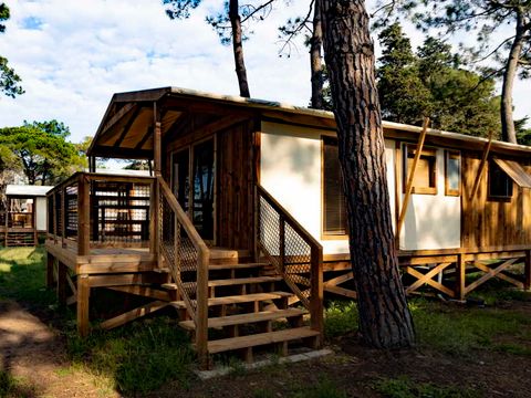 Hébergement 4 personnes - Ecolodge Premium tout confort 4 pers