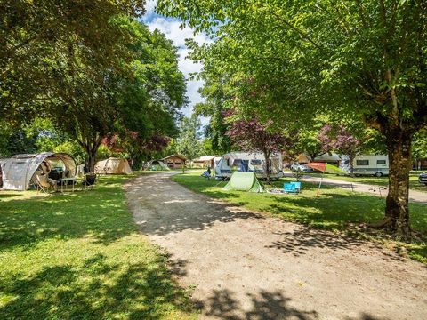 Flower Camping Le Soleil des Bastides - Camping Tarn - Image N°19