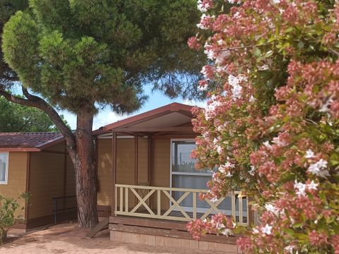 BUNGALOW 5 personnes - Bungalow Morea 5 places, terrasse couverte,  Clim, TV, 25m²