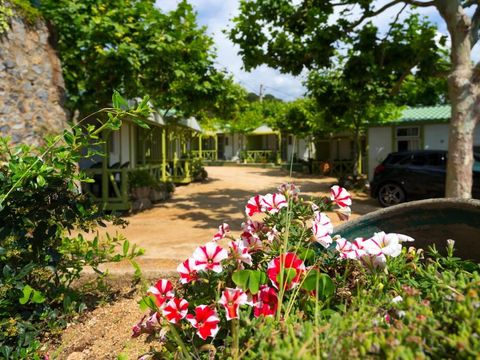 Camping El Far - Camping Barcelone - Image N°17