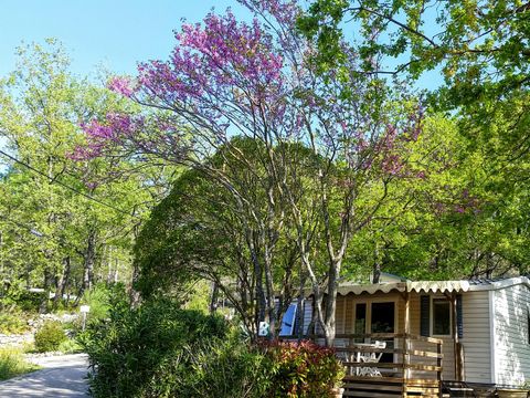 MOBILHOME 4 personnes - Mobilhome CHAUMIERE - PMR 2 chambres Climatisées 4 pers