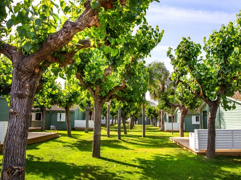 BUNGALOW 5 personnes - GREGAL