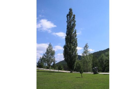Camping Pirinenc - Camping Gérone - Image N°25