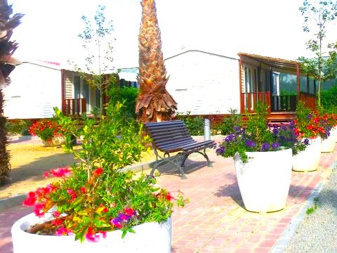 MOBILHOME 6 personnes - PALMERES 6 pers