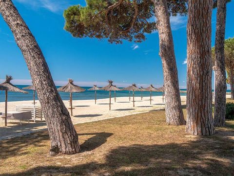 Camping Platja Cambrils - Camping Tarragone - Image N°18