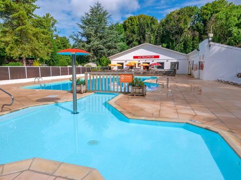 Camping La Dune Blanche - Camping Pas-de-Calais - Image N°3