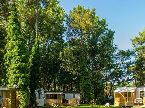 Camping La Dune Blanche - Camping Pas-de-Calais - Image N°5
