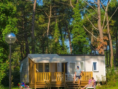Camping La Dune Blanche - Camping Pas-de-Calais - Image N°6