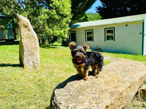 Flower Camping la Pibola - Camping Ariège - Image N°5