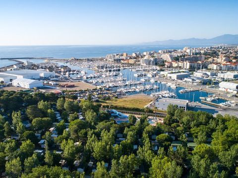 Camping La Marina de Canet - Camping Pyrénées-Orientales - Image N°11
