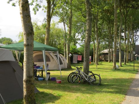 Flower Camping Le Haut Dick - Camping Manche - Image N°28