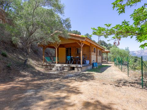 Chalet 4 personnes - Chalet Bois Nature Confort 25m² (2ch - 4 pers) + Clim ( S )