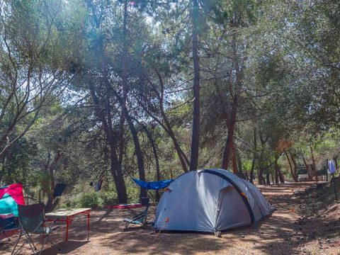 Flower Camping Torraccia - Camping Corse du Sud - Image N°32