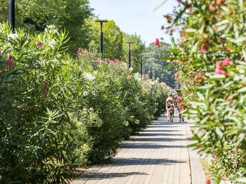 Camping Villaggio San Francesco Caorle - Camping Venise - Image N°10