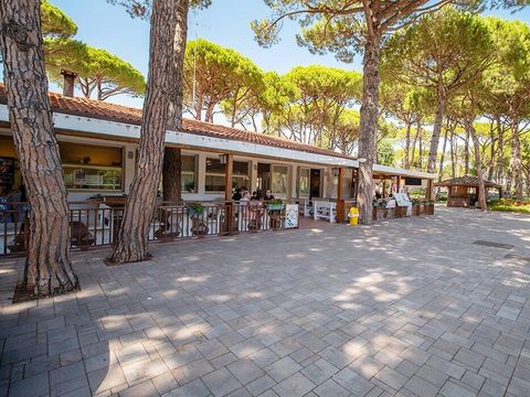 Camping Laguna Village - Camping Venise - Image N°12