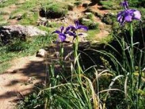 Camping Les Craouès - Camping Hautes-Pyrénées - Image N°29