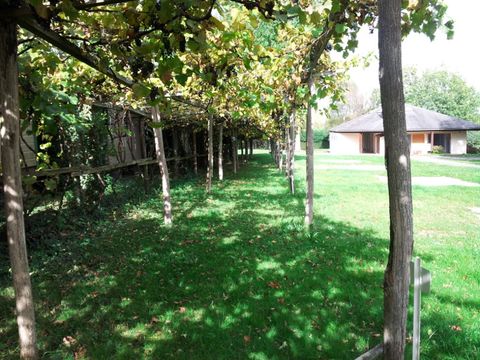 Camping Les Craouès - Camping Hautes-Pyrénées - Image N°20