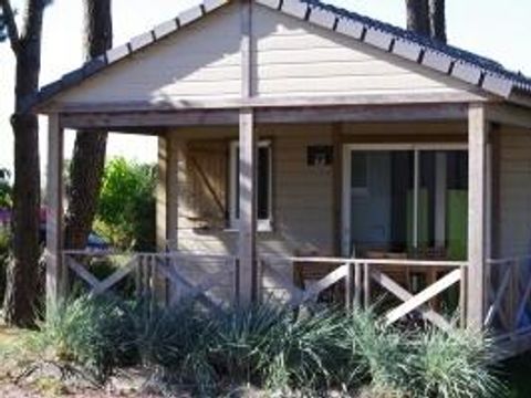 Chalet 4 personnes - Confort Premium 28m²