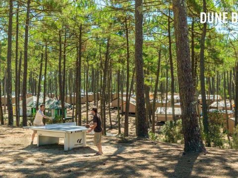 Camping de la Dune Bleue - Camping Gironde - Image N°2