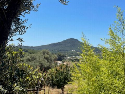 MOBILHOME 6 personnes - NEW 2023 ! Cottage MAGNOLIA + jacuzzi 32m² (2 chambres)