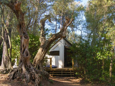 LODGE 5 personnes - Lodge CANNELLE 21m² (2 chambres)