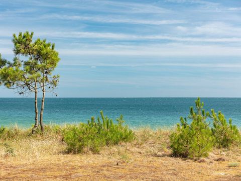 Les Menhirs - Camping Morbihan - Image N°23
