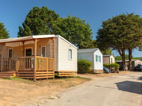 Camping la Grande Métairie de Kermario - Camping Morbihan - Image N°18