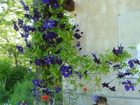 Camping Pré Fixe - Camping Haute-Garonne - Image N°45