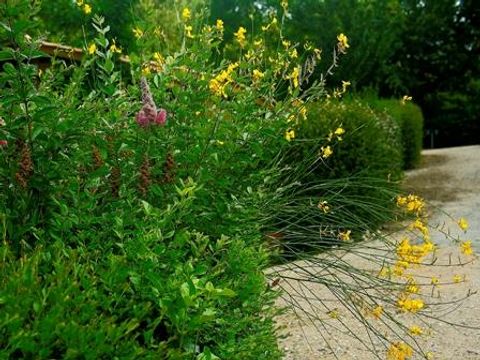 TENTE TOILE ET BOIS 4 personnes - TRAPPEUR COSY Sans sanitaires