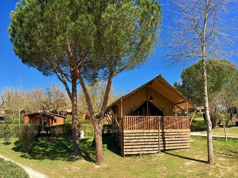 Tente en toile et en bois 5 personnes - GLAMPING LODGE