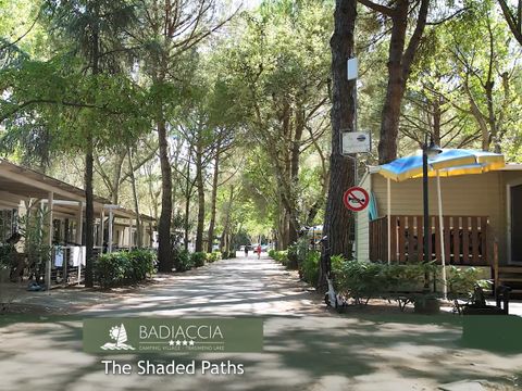 Badiaccia Camping Village - Camping Pérouse - Image N°84