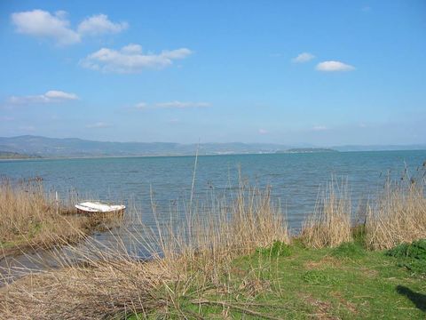 Badiaccia Camping Village - Camping Pérouse - Image N°64