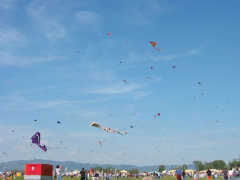 Badiaccia Camping Village - Camping Pérouse - Image N°52