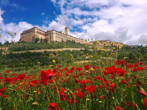 Badiaccia Camping Village - Camping Pérouse - Image N°68