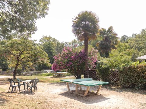 Camping Aqua Viva  - Camping Dordogne - Image N°20