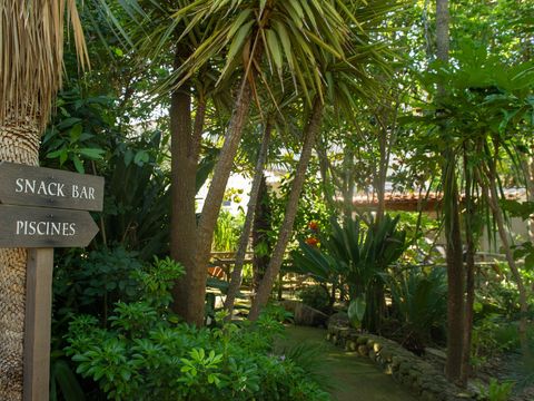 Camping Via Romana  - Camping Corse du Nord - Image N°11