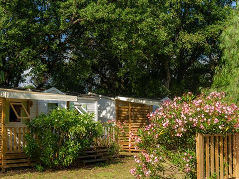 Camping Via Romana  - Camping Corse du Nord - Image N°16