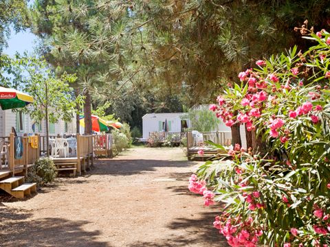 Camping Via Romana  - Camping Corse du Nord - Image N°25