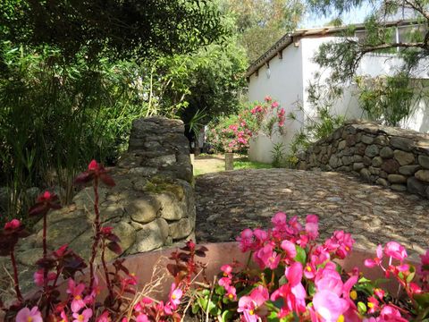 Camping Via Romana  - Camping Corse du Nord - Image N°35