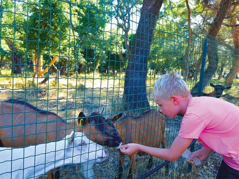 Camping Via Romana  - Camping Corse du Nord - Image N°30